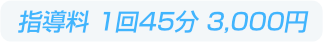 指導料 1回45分 3,000円